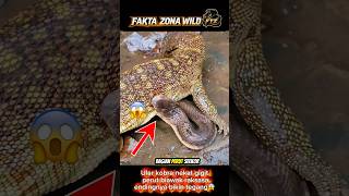 Strategi Mematikan Biawak,Meski Kobra Menggigit! Endingga Shock ⁉️😱#shorts #shortvideo #viralvideo