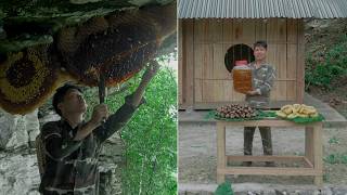 Forest Flavors | Harvesting Wild Honey and Rock Snails for a Simple Meal | Triệu Vân.