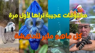 عجائب وغرائب #الطبيعة الجامحة #كل ماهو مثير للدهشة😱😵‍💫😰😳🕷️🐛🐞🦐🪲