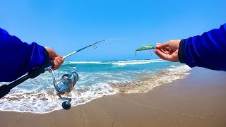 COMO saber DONDE PESCAR en PLAYA // pesca de orilla // pesca de róbalos // tips de pesca