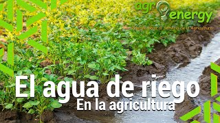 El Agua De Riego En La Agricultura