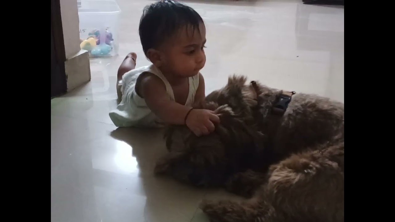 Pls Bro Dont irritate me 😤 