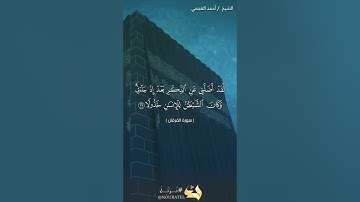 سورة الفرقان | الآيات من 27 الى 29