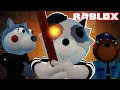 The Origin STORY of Rash Raccoon! (Roblox PIGGY Book 2)