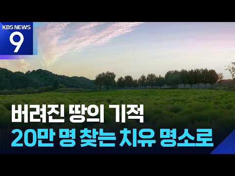 버려졌던 땅에 피어난 2만 그루 ‘가을빛 변신’ [9시 뉴스] / KBS 2026.09.29.