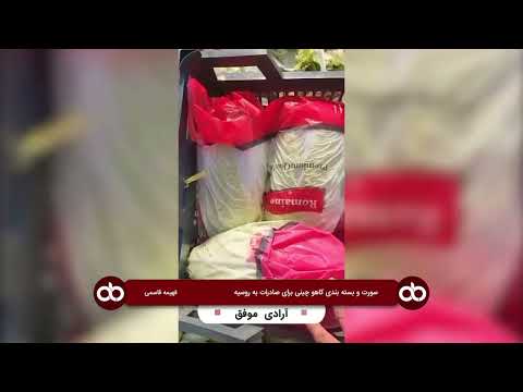 سورت و بسته بندی کاهو چینی برای صادرات به روسیه