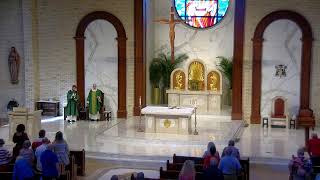 Vigil Mass for the 14th Sunday in Ordinary Time (Mass for July 5, 2026)