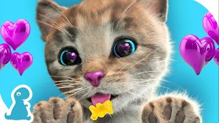 Cute Kitten Little Adventure - My Favorite Cat Lovely Pet Educational Adventurous Journey Cartoon