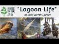 Explore with ERM VFT: Lagoon Life