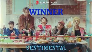 Winner - Sentimental (Visualizer)