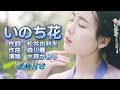 水森かおり--いのち花  演歌 歌謡曲  歌詞付き  遠州灘   新曲  2023新作  日向岬 離愁...高千穂 日南海岸 冬の雷鳴 南紀白浜  九十九里浜 小泊風港 大隅半島  思い出運河 まよい酒