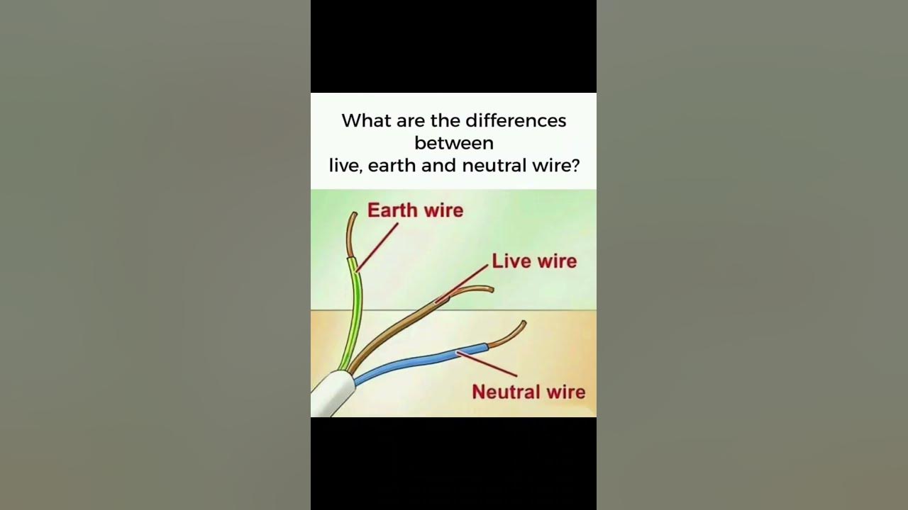 What Is The Difference Between Live, Earth, And Neutral Wire ? Eevibes 