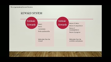 THE ORGANIZATIONAL REWARD SYSTEM