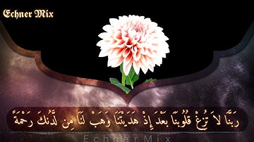 ربنا لا تزغ قلوبنا بعد اذ هديتنا - حالات وتس - للقارئ |مشاري راشد العفاسي