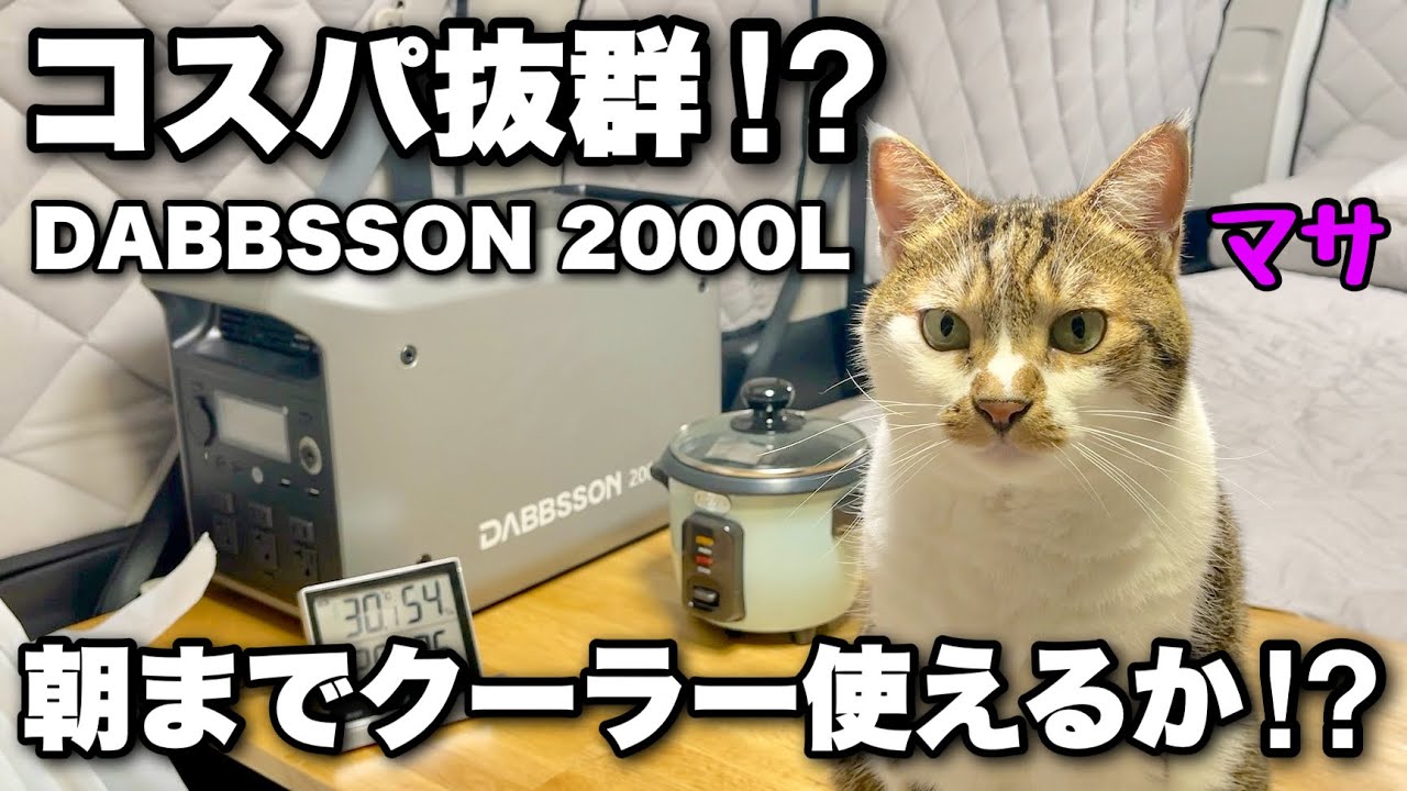 Честный обзор портативного источника питания, который, по слухам, очень экономичен! [DABBSSON 2000L]