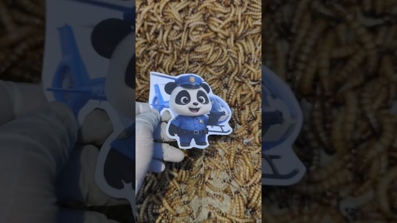 Часть 313: Личинка мучного червя против детского автобуса | Экспериментальная битва! 