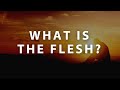 God Day - What is the Flesh?