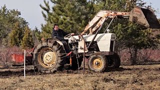 We get a Tractor  and put it to work #Davidbrown #tractor #farmwork