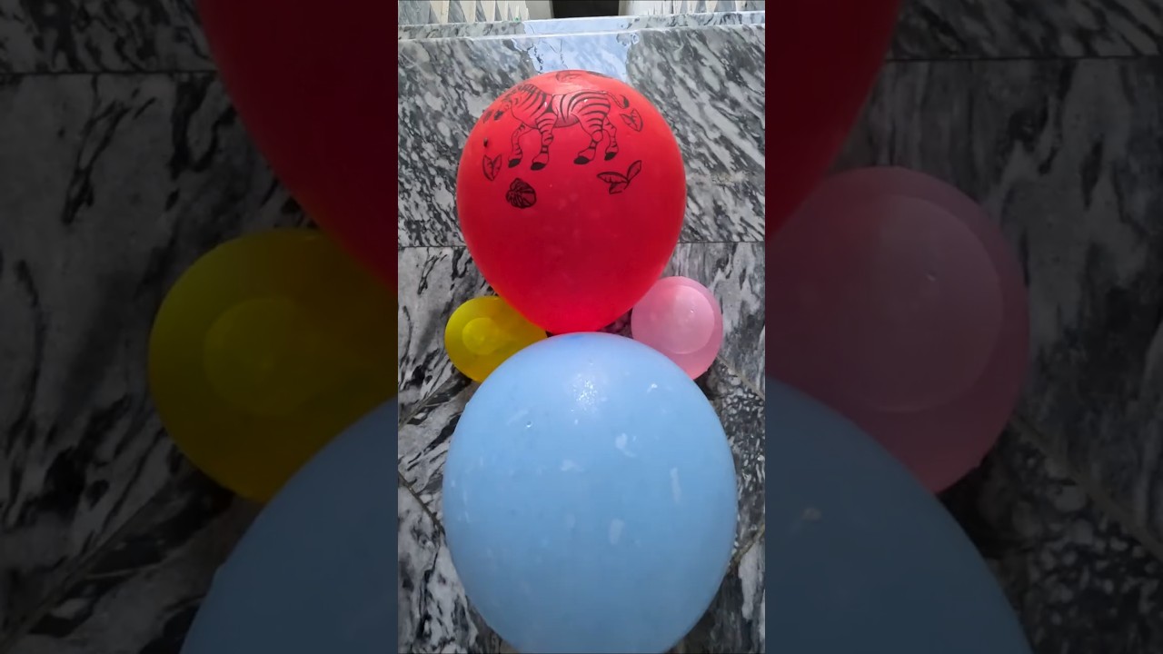 POV: Red Zebra Balloon VS Sky Blue Plain Balloon Drop Test 💦🎈 | ASMR Satisfying Stairs Challenge