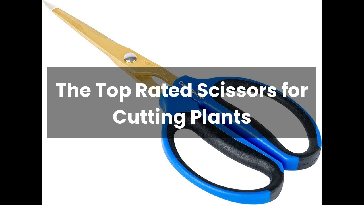Scissors for cutting plants: The Top Rated Scissors for Cutting Plants