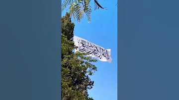 قد انهار طغيان ايرانكم وفي الشام زال عهد الطغاه ستوريات انستا حالات واتساب اكسبلور 