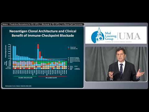 Video: Synergistischer Effekt Von Immun-Checkpoint-Blockade Und Anti-Angiogenese Bei Der Krebsbehandlung