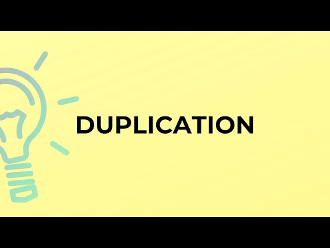 What is the meaning of the word DUPLICATION?