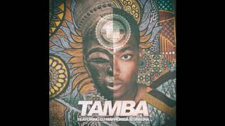 Cuebur ft DJ Maphorisa Sha Sha - Tamba Resimi