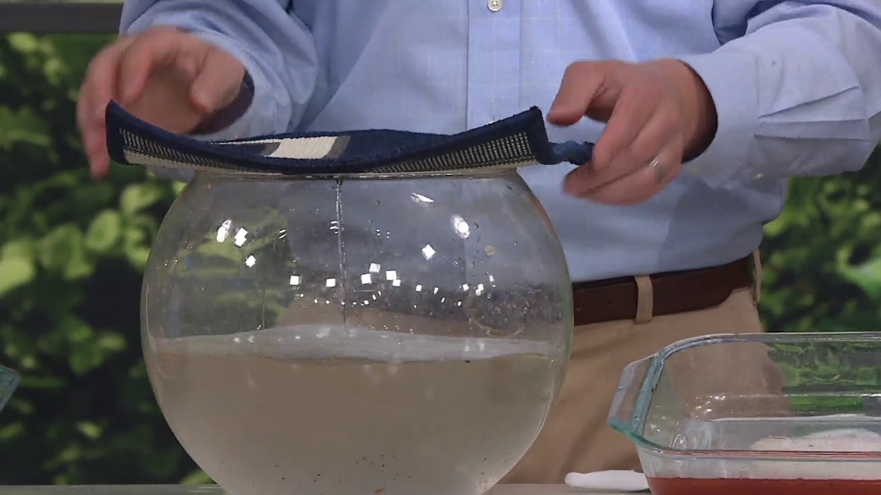 Veranda Living Greek Key Geo Border Indoor/Outdoor Rug or Runner on QVC