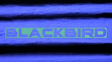 The Loop - BLACKBIRD (Official Video)