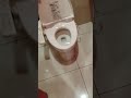パチンコトイレで排泄 #shorts wc water closet 便器 サン SUN トイレ TOTO 水流 2020年9月22日