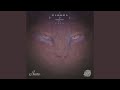 Dos Coyu Raw Mix 
