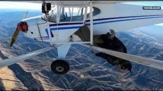 Famous Trevor Jacob Crashed Airplane on Purpose; FAA Says Profile