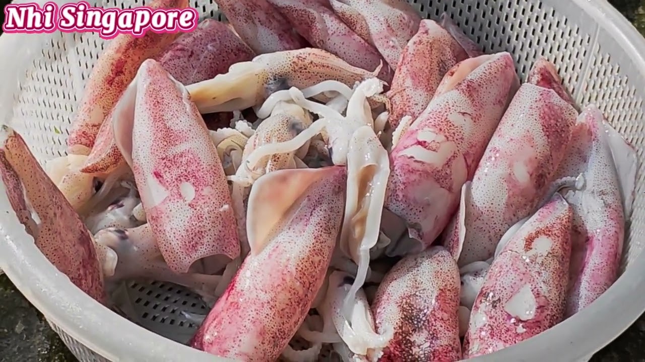 Bò Tươi ,Mực Tươi,Tại Chợ Số 4