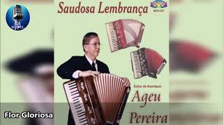 AGEU PEREIRA - SAUDOSA LEMBRANÇA -CD COMPLETO HINOS DA HARPA