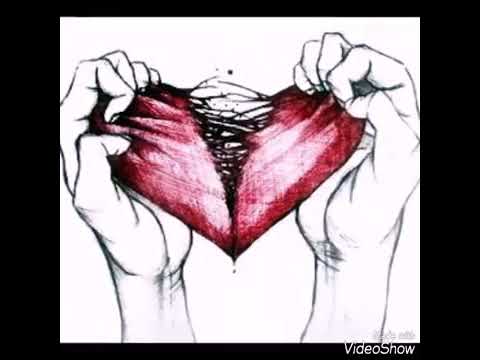 مين السبب ضايع انا مين السبب 