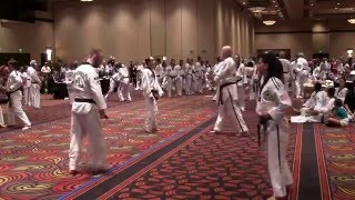 Master Amitis Pourarian 7th Degree Black Belt Testing (Master P Goes 007, Short Version)
