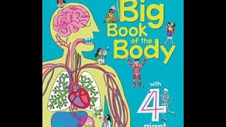 Usborne Big Book of the Body