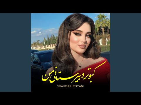 کبوتر دبیرستانی من