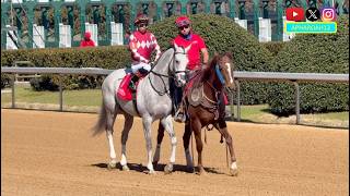 Arkansas Derby Winner Sandman Makes 4YO Debut against Kentucky Derby Alumni
