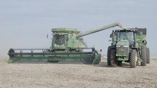 John Deere 9670 Combining Soybeans | Southern Iowa