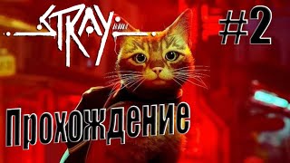 Прохождение игры Stray #2 \ Трущобы \