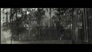 Authentic Chen Village Footage