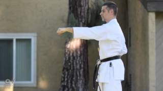 Oi Tsuki Chudan - Straight middle punch - Okinawa Shorin Ryu