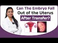 Can the Embryo Fall Out of the Uterus After Transfer? || Dr.Neeraja