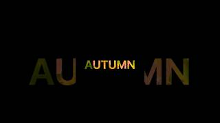 Stunning Autumn Colors: Fall Foliage Vibes & Leaf Peeping Magic 🍁 #nature #naturevideos #fallcolors