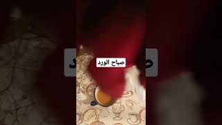 صباح الورد