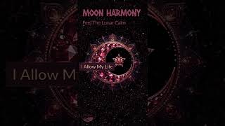 528Hz Moon Harmony: Bathed in Moonlight 🌙 🧡