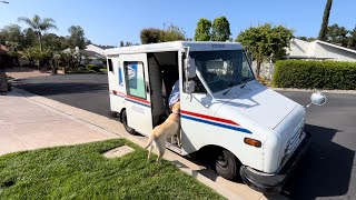 Dog Patiently Waits To See Mail Carrier Every Single Day