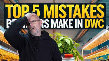 Beginner’s Guide: 5 Common DWC Errors to Skip #marshydro #fce3000 #ts1000 #vg80